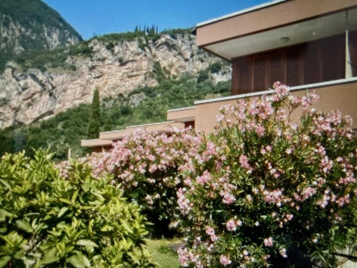 Appartamento Peppino Mit Seeblick Und Pool リーヴァ・デル・ガルダ エクステリア 写真